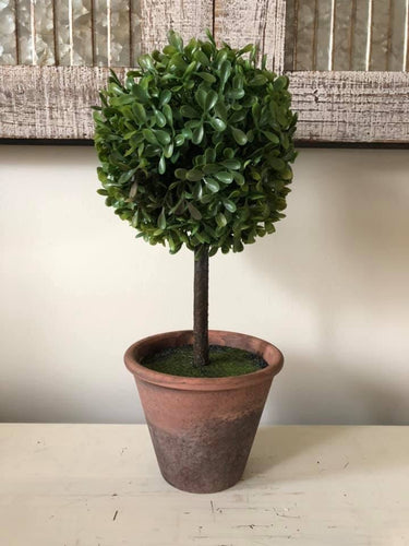 Boxwood Topiary