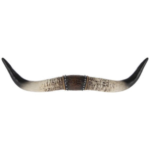 Longhorn Wall Decor