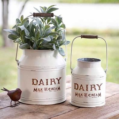 Dairy Milk And Cream Milk Can Large