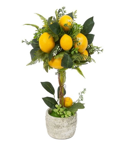 Decorative Lemon Tree