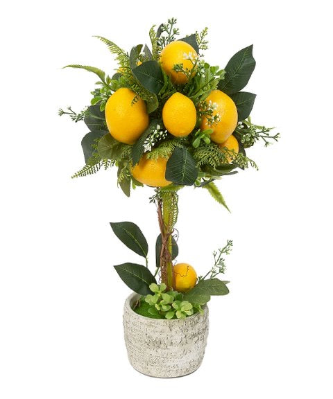 Decorative Lemon Tree