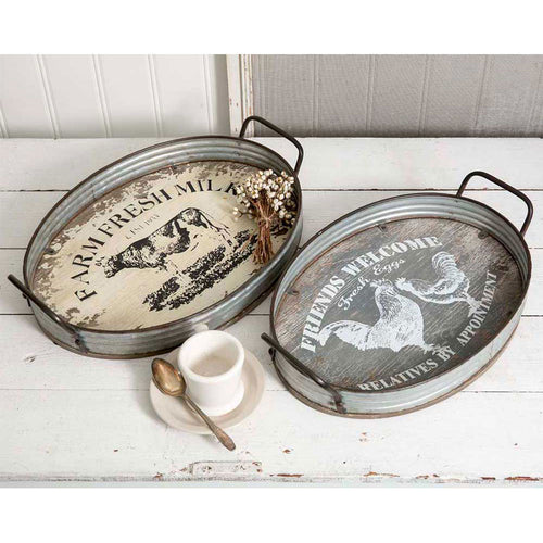 Galvanized Metal Tray (you choose style)